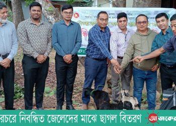 নানিয়ারচরে নিবন্ধিত জেলেদের মাঝে ছাগল বিতরণ