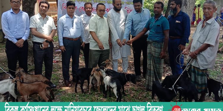 বিকল্প কর্মসংস্থানের লক্ষে নানিয়ারচরে জেলেদের মাঝে ছাগল বিতরণ