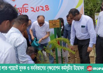 রাঙামাটির লাভ পয়েন্টে দুদক ও বনবিভাগের বৃক্ষরোপন কর্মসূচীর উদ্বোধন