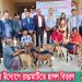 মৎস্য বিভাগের উদ্যোগে রাঙামাটিতে ছাগল বিতরণ