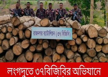 লংগদুতে ৩৭বিজিবির অভিযানে অবৈধ কাঠ উদ্ধার