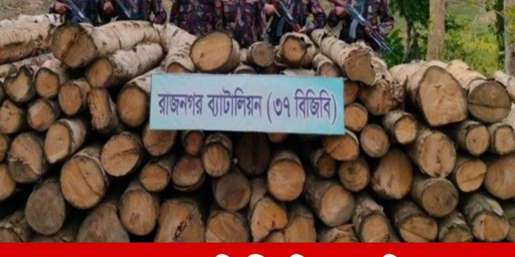 লংগদুতে ৩৭বিজিবির অভিযানে অবৈধ কাঠ উদ্ধার