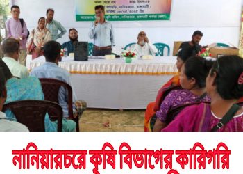 নানিয়ারচরে কৃষি বিভাগের কারিগরি আলোচনা সভা