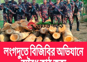 লংগদুতে বিজিবির অভিযানে অবৈধ কাঠ জব্দ