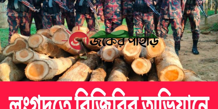লংগদুতে বিজিবির অভিযানে অবৈধ কাঠ জব্দ