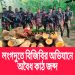 লংগদুতে বিজিবির অভিযানে অবৈধ কাঠ জব্দ