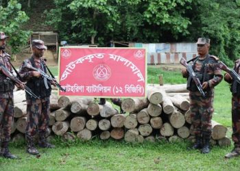 বরকলে বিজিবির অভিযানে গোলকাঠ আটক