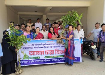 বাঘাইছড়িতে উন্নত জাতের আমের চারা বিতরণ