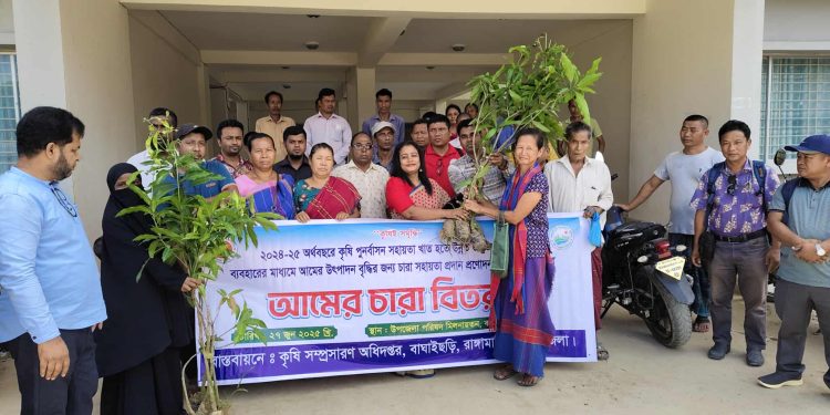 বাঘাইছড়িতে উন্নত জাতের আমের চারা বিতরণ