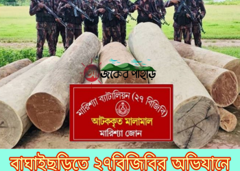 বাঘাইছড়িতে ১৪লক্ষ টাকার অবৈধ কাঠ জব্দ