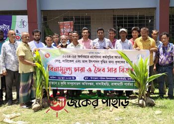 বাঘাইছড়িতে কৃষি বিভাগের নারিকেল চারা বিতরণ