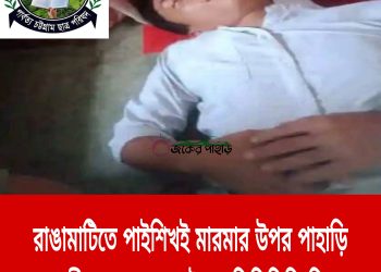 রাঙামাটিতে পাইশিখই মারমার উপর পাহাড়ি সন্ত্রাসীদের হামলার ঘটনায় পিসিসিপি নিন্দা