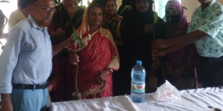 বাঘাইছড়িতে গ্রামীণ ব্যাংকের উদ্যোগে বৃক্ষ রোপন