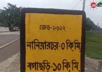 মাদকদ্রব্য নিয়ন্ত্রণ আইনে নানিয়ারচরে আটক ১