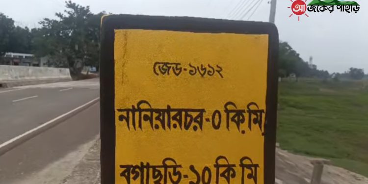 মাদকদ্রব্য নিয়ন্ত্রণ আইনে নানিয়ারচরে আটক ১