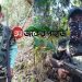 খাগড়াছড়িতে সেনা অভিযানে অস্ত্র-গুলিসহ এক সন্ত্রাসী সংগঠনের চেয়ারম্যান ও সহযোগী আটক