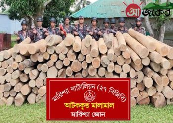 বাঘাইছড়িতে বিজিবির অভিযানে সেগুন কাঠ জব্দ