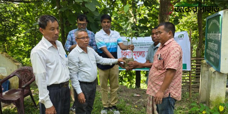 বন বিভাগের উদ্যোগে নানিয়ারচরে চারা বিতরণ
