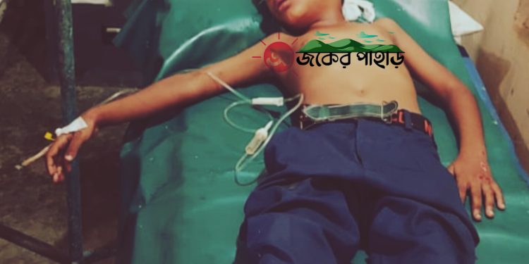 নানিয়ারচরে সড়ক দূর্ঘটনায় আহত ১ স্কুল ছাত্র