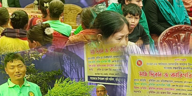 নানিয়ারচরে তেলজাতীয় ফসলের প্রদর্শনী মাঠ দিবস