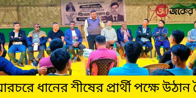 নানিয়ারচরে ধানের শীষের প্রার্থী পক্ষে উঠান বৈঠক