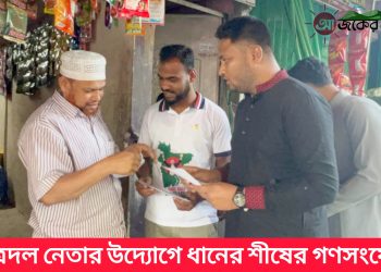 ছাত্রদল নেতার উদ্যোগে ধানের শীষের গণসংযোগ 