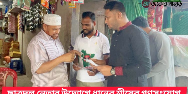 ছাত্রদল নেতার উদ্যোগে ধানের শীষের গণসংযোগ 