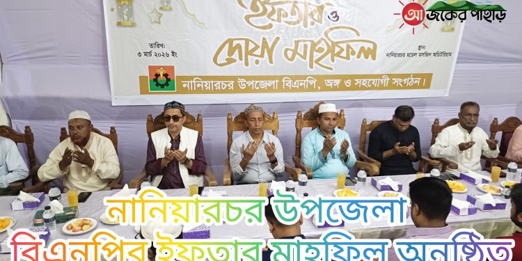 নানিয়ারচর উপজেলা বিএনপির ইফতার মাহফিল অনুষ্ঠিত