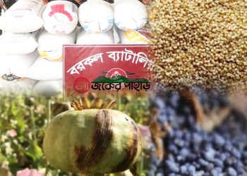 বরকলে বিজিবির অভিযানে কোটি টাকার পপি বীজ আটক