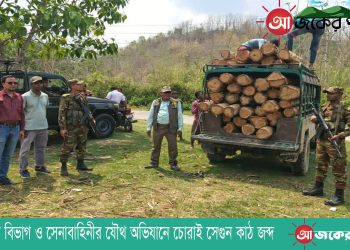 বন বিভাগ ও সেনাবাহিনীর যৌথ অভিযানে চোরাই সেগুন কাঠ জব্দ