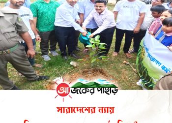 সারাদেশের ন্যায় নানিয়ারচরে বৃক্ষরোপণ কর্মসূচির উদ্বোধন