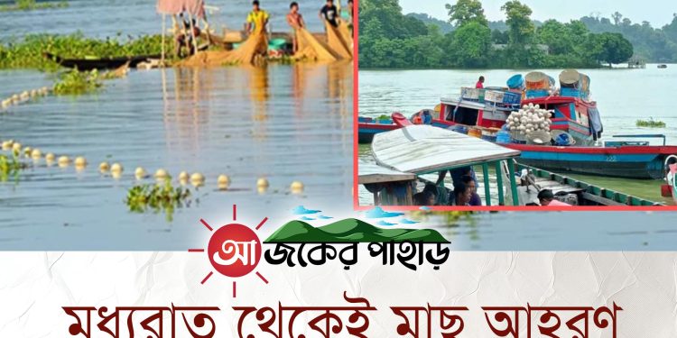 মধ্যরাত থেকেই মাছ আহরণ