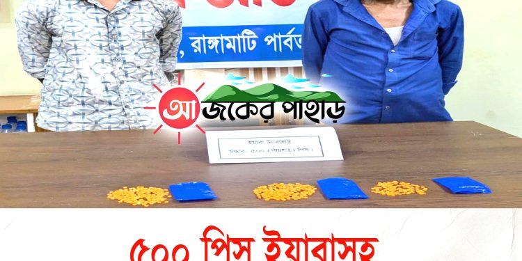 ৫শ পিস ইয়াবাসহ রাঙামাটিতে দুই মাদক কারবারি গ্রেপ্তার
