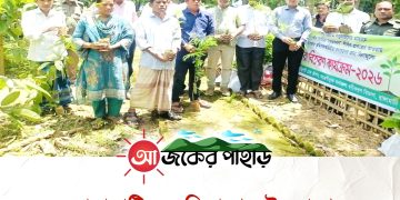 বন বিভাগের উদ্যোগে নানিয়ারচরে বিনামূল্যে চারা বিতরণ