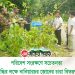 পরিবেশ সংরক্ষণে সচেতনতা বৃদ্ধির লক্ষে নানিয়ারচর জোনের চারা বিতরণ