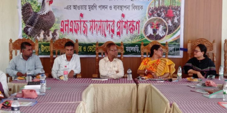 মহালছড়িতে ৫০ এলএফজি সদস্যের মুরগি পালন প্রশিক্ষণ, মিলবে মুরগির খামার