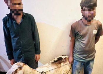 রাঙ্গামাটির কোতোয়ালী পুলিশের অভিযানে গ্রেফতার চোর উদ্ধার হলো ছাগল